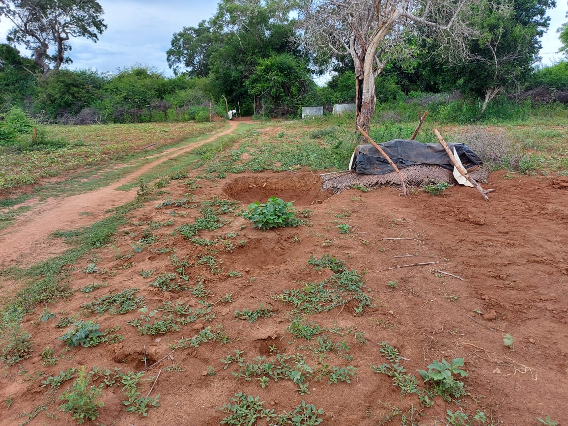 Tissamaharama Rural Agri Project